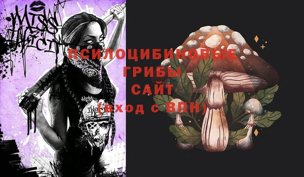 амф Алексеевка