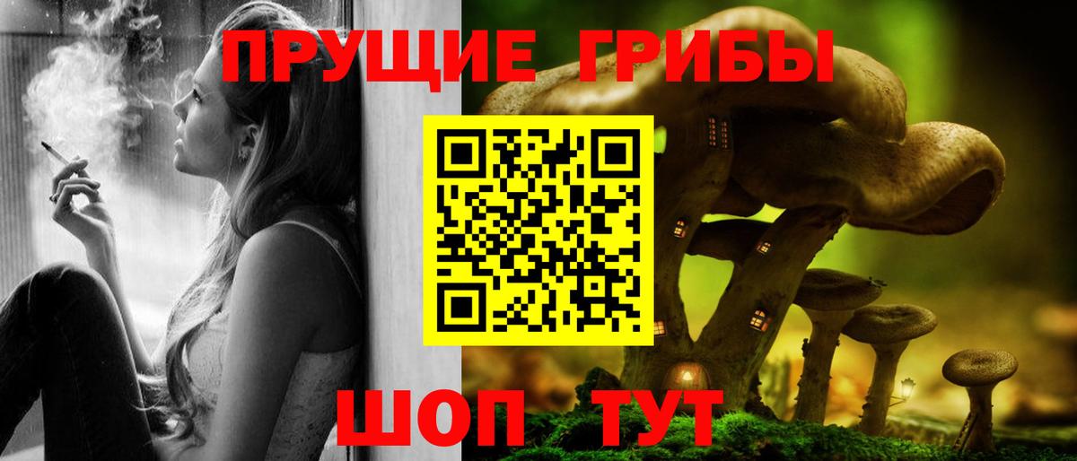 Псилоцибиновые грибы Psilocybe Хасавюрт